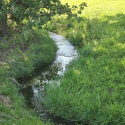 der an sich sehr friedliche "Tannbach"