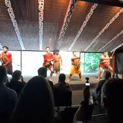 Maori dance and song dance and song