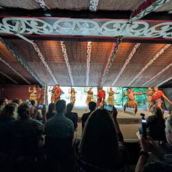 Maori dance and song dance and song