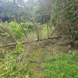 ...und es wurde nicht besser