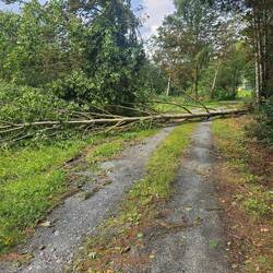 Da hat der Wind wohl heftiger geweht...