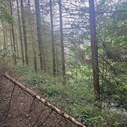 irgendwann war kein Durchkommen mehr und ich musste ca. 1,5km zurück