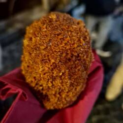 Supplì ähneln Kroketten, sind aber mit einer Reis-Mozzarella-&Co.-Mischung gefüllt.