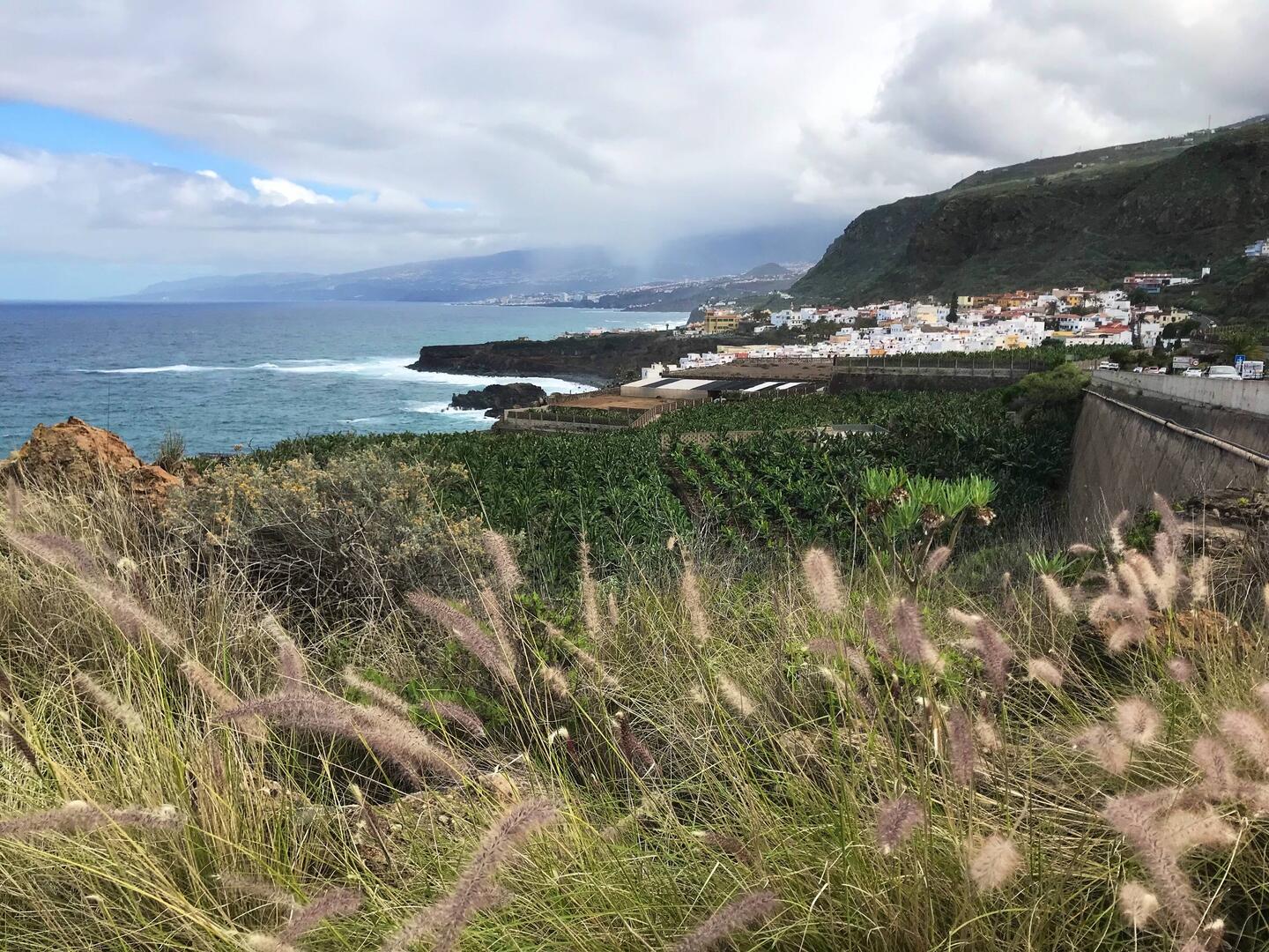 Blick nach San Juan de Rambla. In der Ferne liegt Puerto de Santa Cruz.