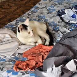 Und der Kater Lilly wich uns nicht von der Seite