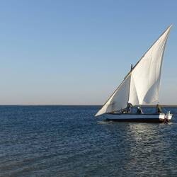 Nur die ansässigen Imraguen dürfen mit Pirogen unter Segel fischen