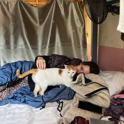 Büsiliebe für die nächste kranke Person