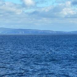 Cliffs of West Cape Howe NP