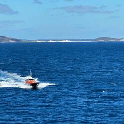 The pilot boat coming in