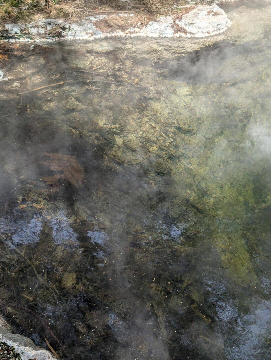 Lots of bubbling ponds with water over 100° C