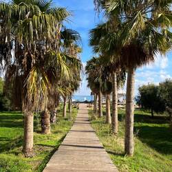 Besonders dem Strand kommt eine bedeutende Rolle zu, da sich dort einer der..