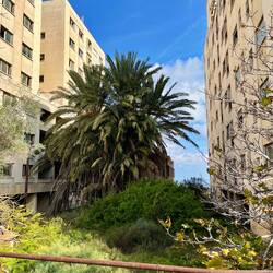 ..die sich Schritt für Schritt wieder..