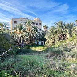 ..wohl am ehesten noch die Natur,..