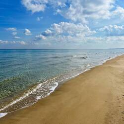 ..wichtigsten Nistplätze für die bedrohte Grüne Meeresschildkröte befindet.