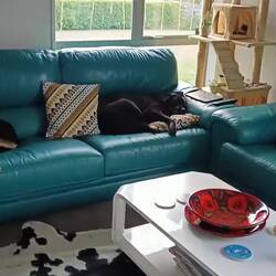 Bonne nuit les petits 😂