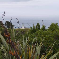 Cape Reinga