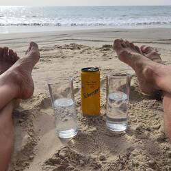 Es folgt: das Hauptmenü