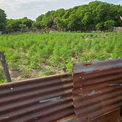 Zum Nachtisch: Ne kleine Tüte (haben wir uns verkniffen 😉)