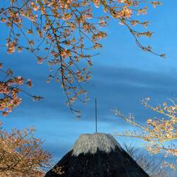 Le mont Fuji à Nagoya, on aura tout vu