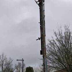 Signal