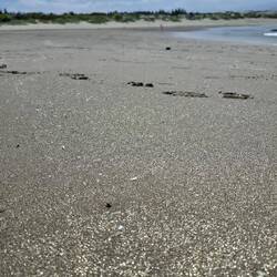 Goldig schimmernder Sand