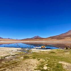 Une des premières lagunes de notre périple désertique