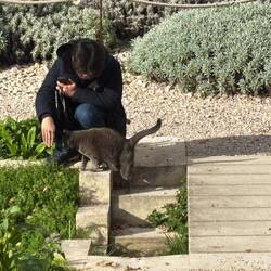 Cat lover from Singapore