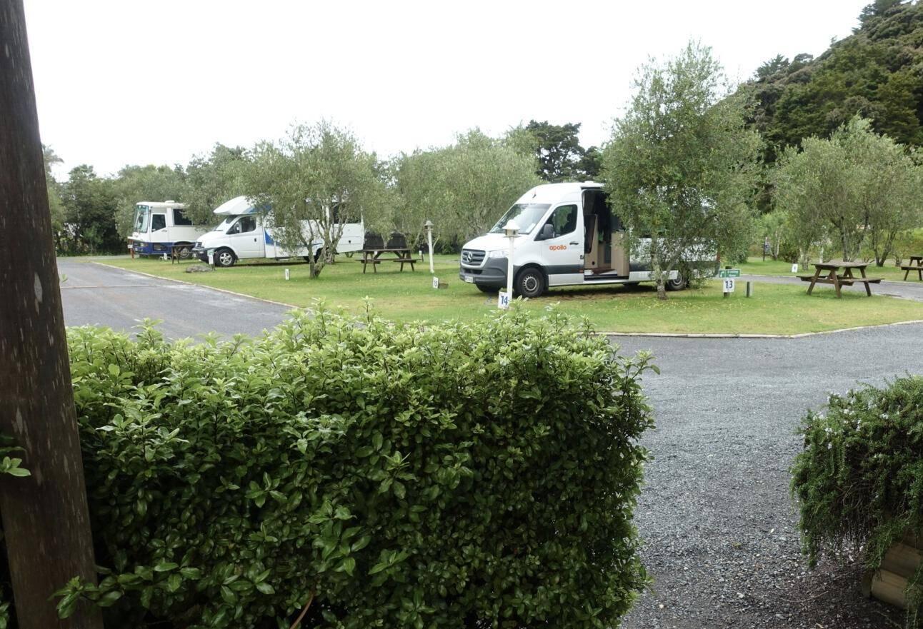 Campsite Bay of Islands