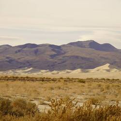Ausläufer der Eurika Sanddünen.