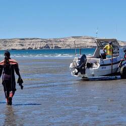 Snorkeling con los lobos