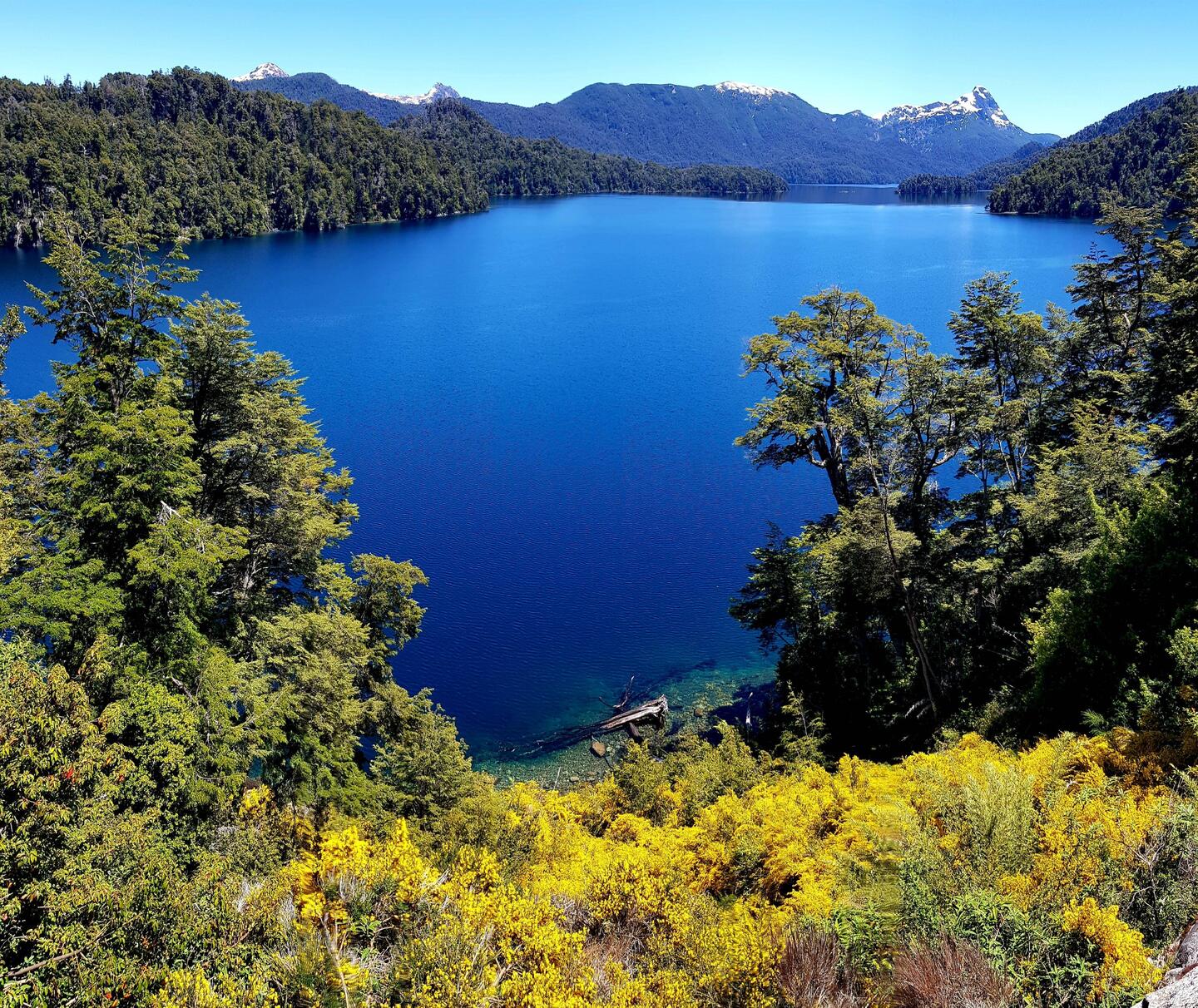 On the way to Saint Martin de los Andes.