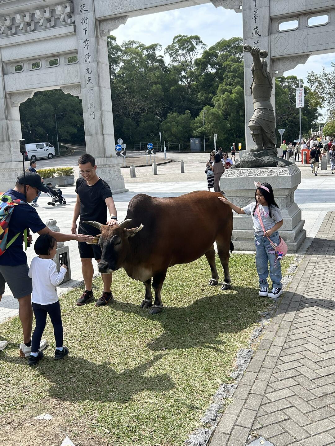 One very contented bull was wandering about.