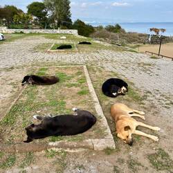 Aber ja, die Auswahl ist groß!