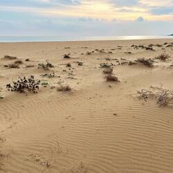 ..absolutes Wüstenfeeling versprühen!