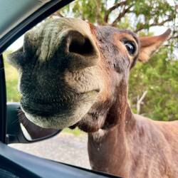 ..auch der Blick nach drinnen kann spannend sein 🫏