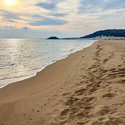 ..einsamen Sandstränden, die ein..