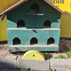 Katzen haben hier immer ein zu Hause