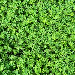 ..und mein Glück in einer Wanderung suche.