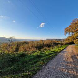 Eindrücke vom Radweg