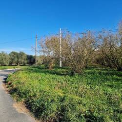 Eindrücke vom Radweg