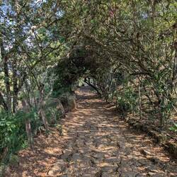 Perfect weather for a hike. Warm with a cool breeze.