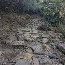But they handled the terrain with aplomb.