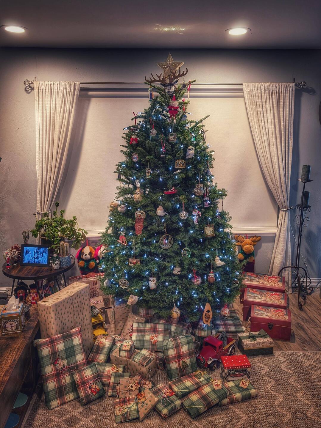 So strange to leave our decorated house