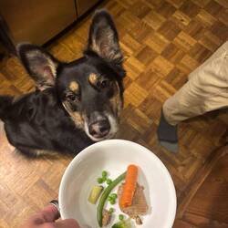 Della is staying with Amanda, and she is already getting home cooked meals