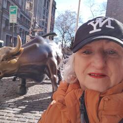 Charging Bull