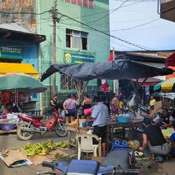 Belem market is pure craziness. Super busy and loud