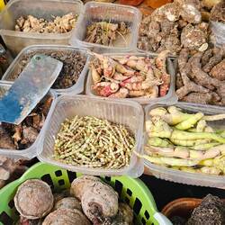 These are all different kind of potatoes 🥔