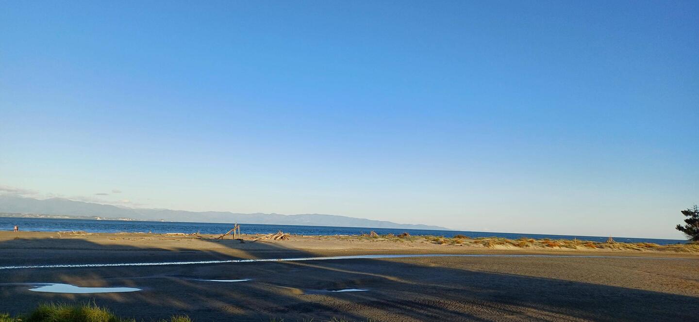 Guten Morgen aus Nelson