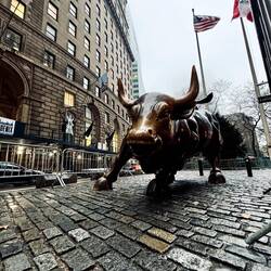 Charging Bull