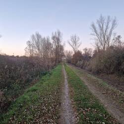 Am Kanal
